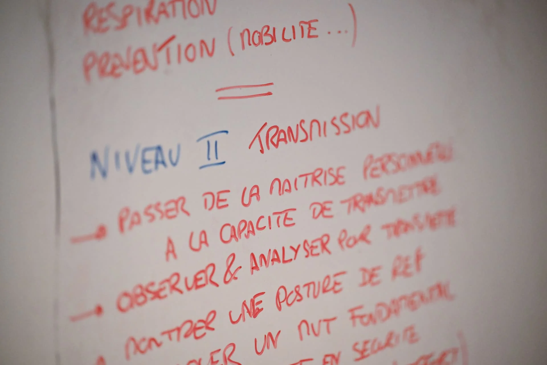 Tableau blanc de formation : « Niveau II, transmission » et les objectifs notés à la main.